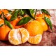 Mandarine - vonný aroma vosk