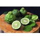 Bergamot - vonný aroma vosk