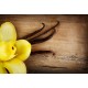 Vanilla - vonný aroma vosk